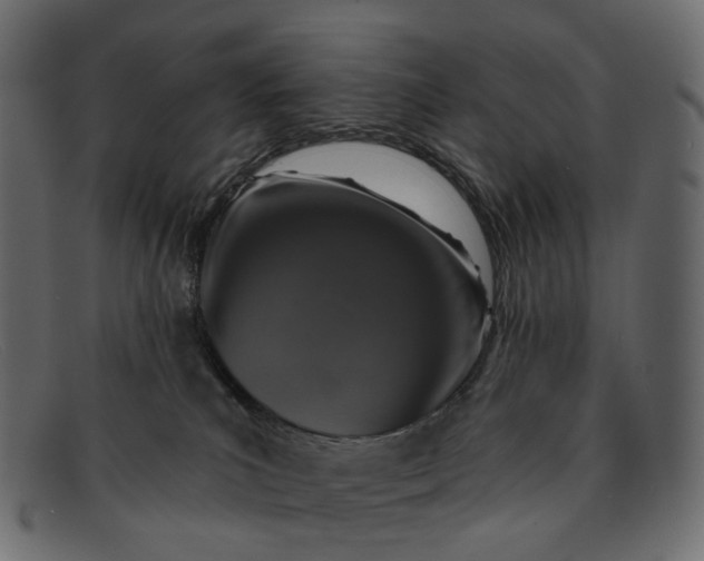 X0000091930039200709191409