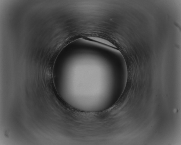 X0000091930040200709191409
