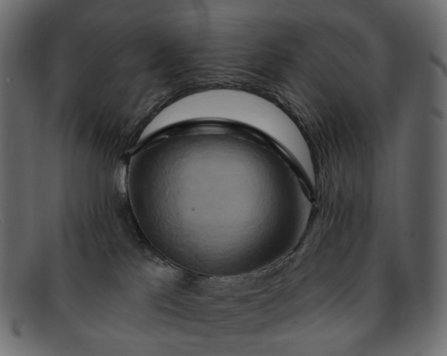 X0000091930041200709191409