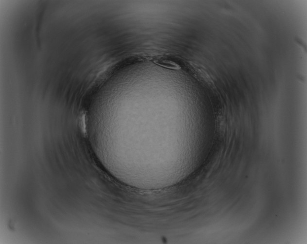 X0000091930042200709191409