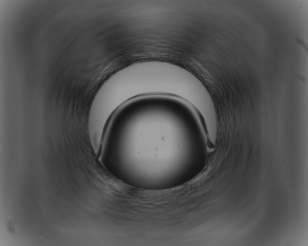 X0000091930045200709191409