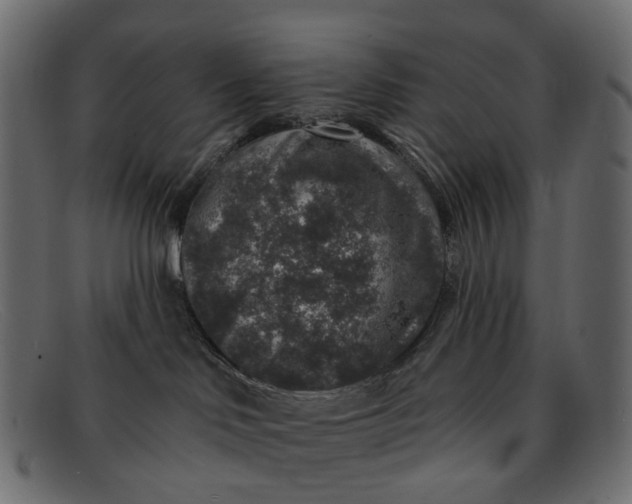 X0000091930046200709191409