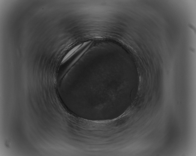 X0000091930048200709191409