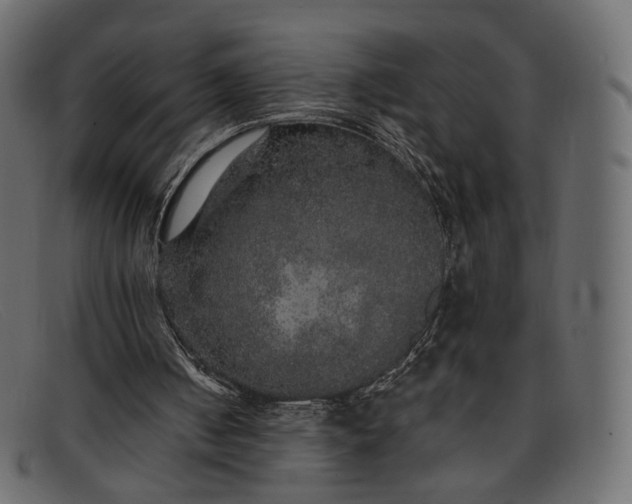 X0000091930050200709191408