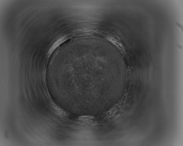 X0000091930051200709191408