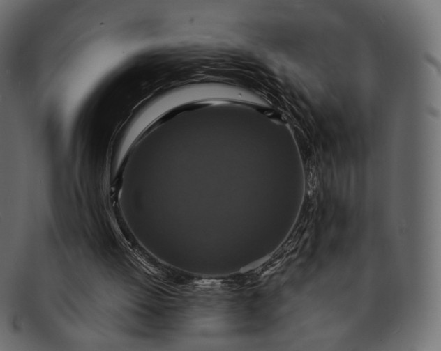 X0000091930052200709191408