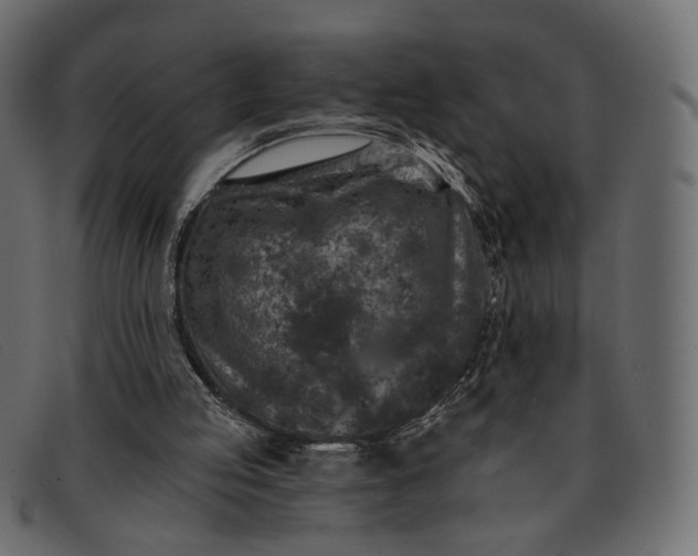 X0000091930053200709191408