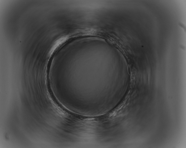 X0000091930054200709191408