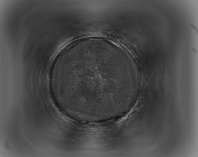 X0000091930055200709191408