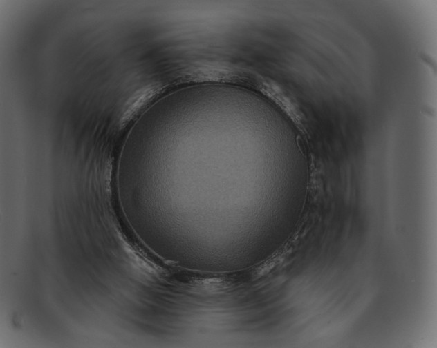 X0000091930058200709191408