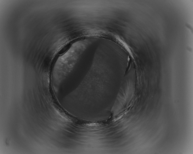 X0000091930059200709191408
