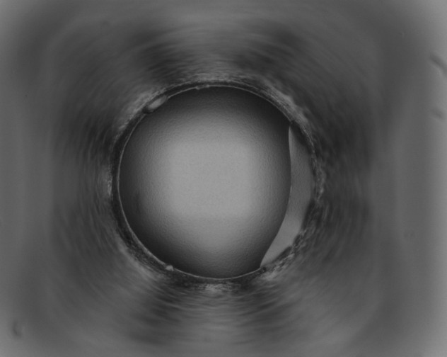 X0000091930060200709191408