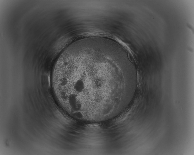 X0000091930061200709191408