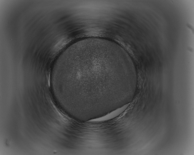 X0000091930062200709191408