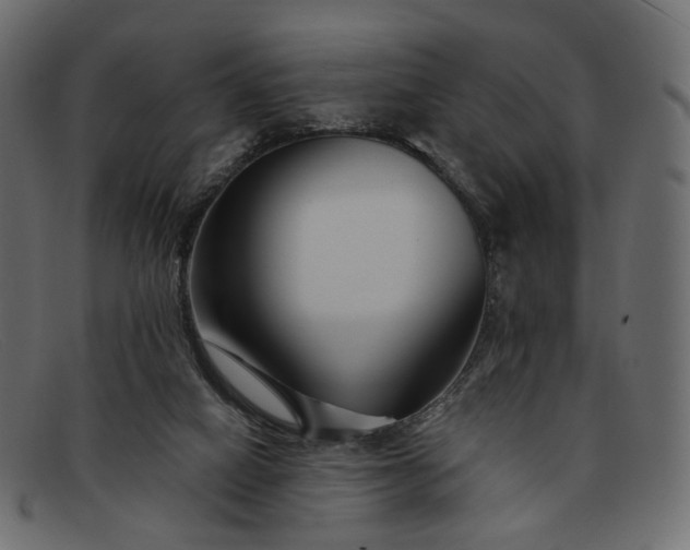 X0000091930066200709191408