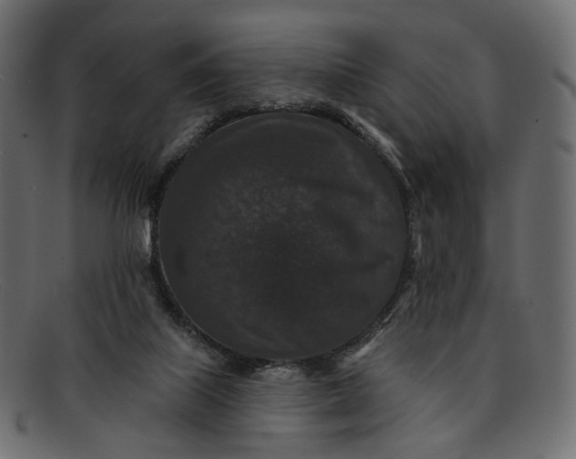 X0000091930067200709191408