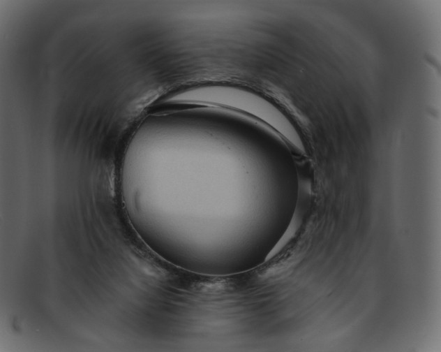 X0000091930068200709191408