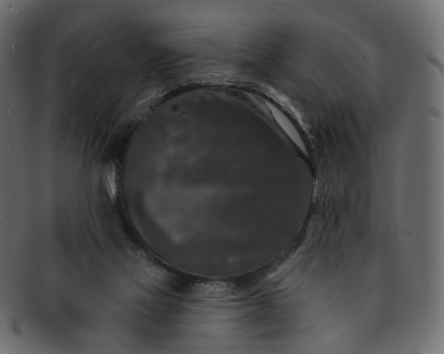 X0000091930069200709191408