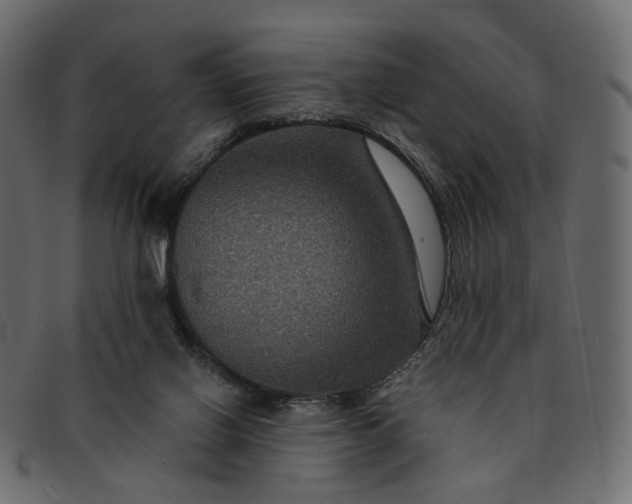 X0000091930070200709191408