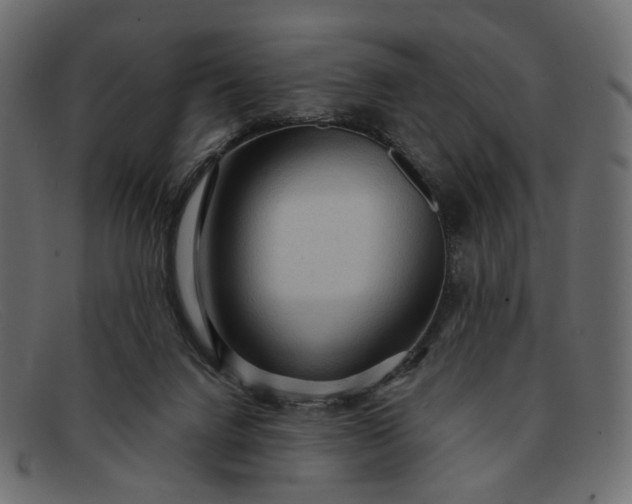 X0000091930072200709191408