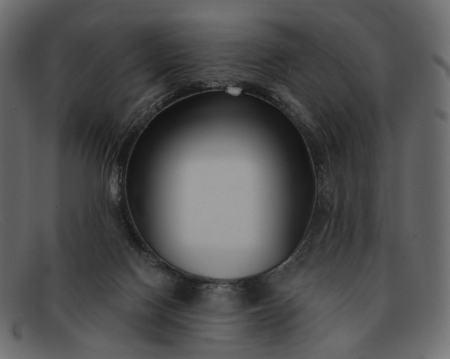 X0000091930074200709191408