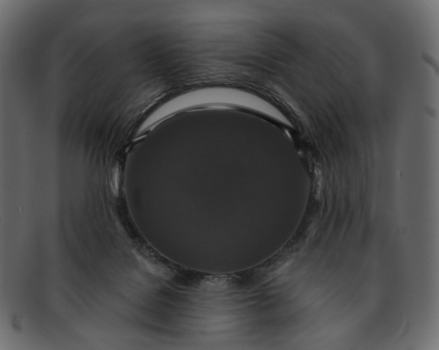 X0000091930076200709191408