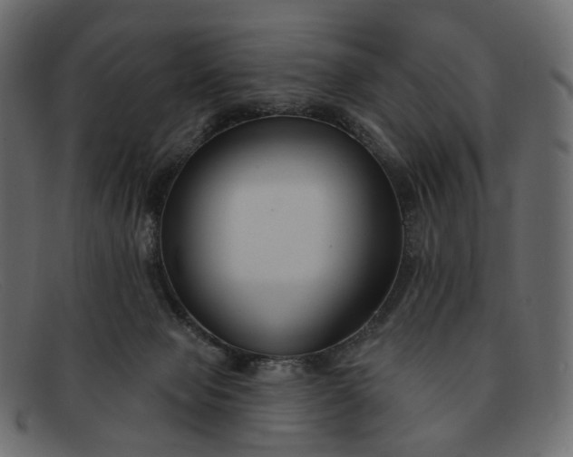 X0000091930077200709191408