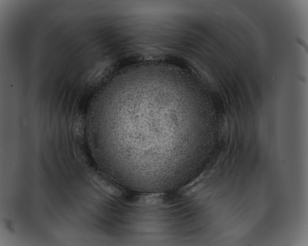 X0000091930078200709191408