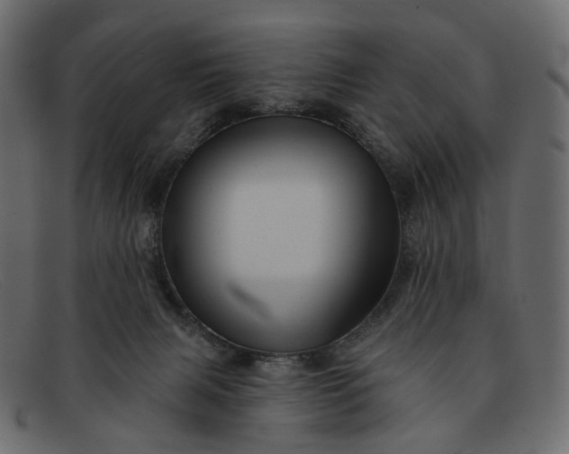 X0000091930079200709191408