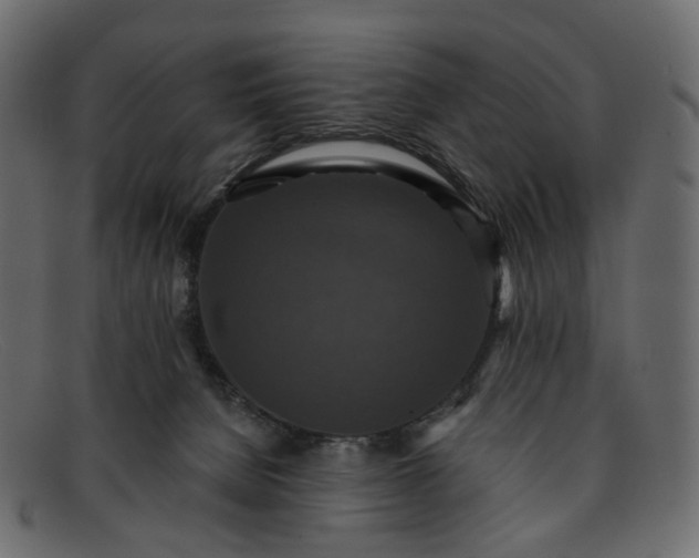 X0000091930080200709191408
