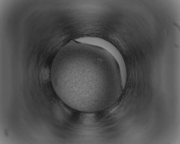 X0000091930081200709191408