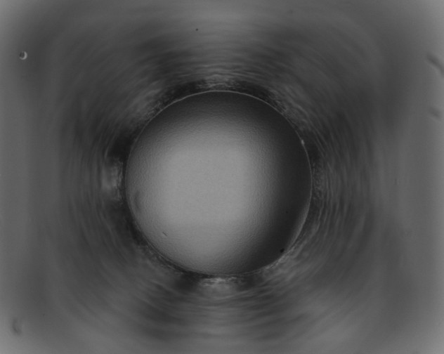 X0000091930082200709191408