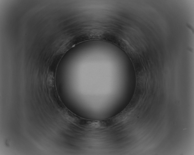 X0000091930083200709191408