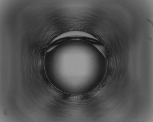 X0000091930084200709191408