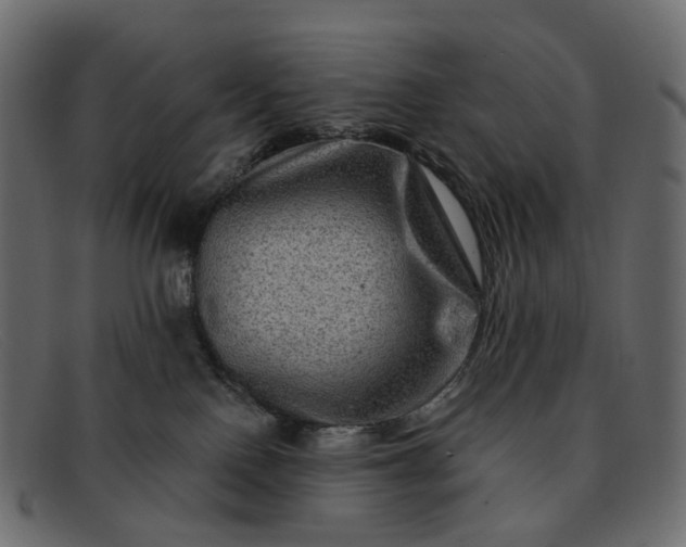 X0000091930090200709191408