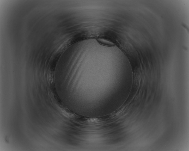 X0000091930091200709191408