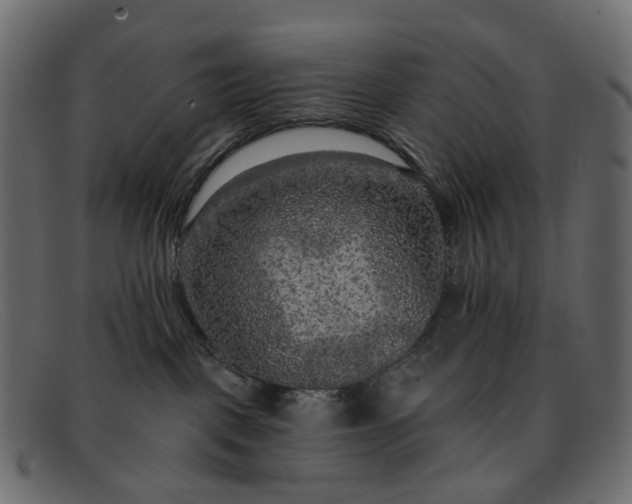 X0000091930093200709191408