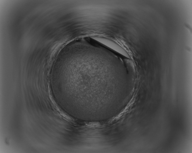 X0000091930097200709191408