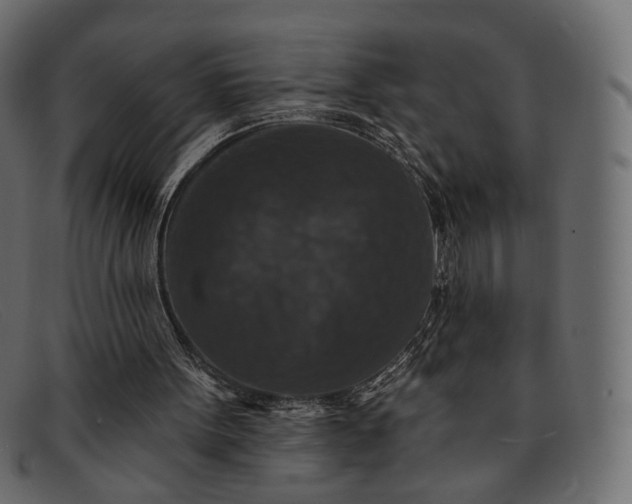 X0000091930099200709191408