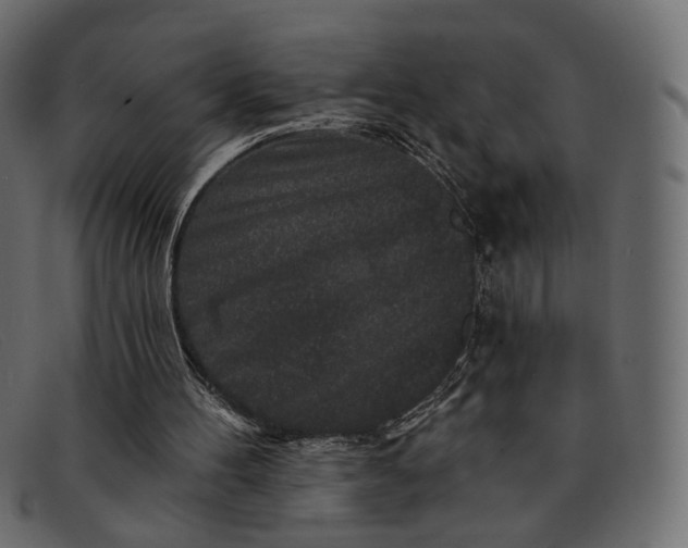 X0000091930100200709191408