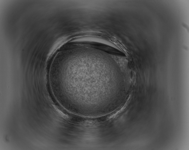 X0000091930101200709191408