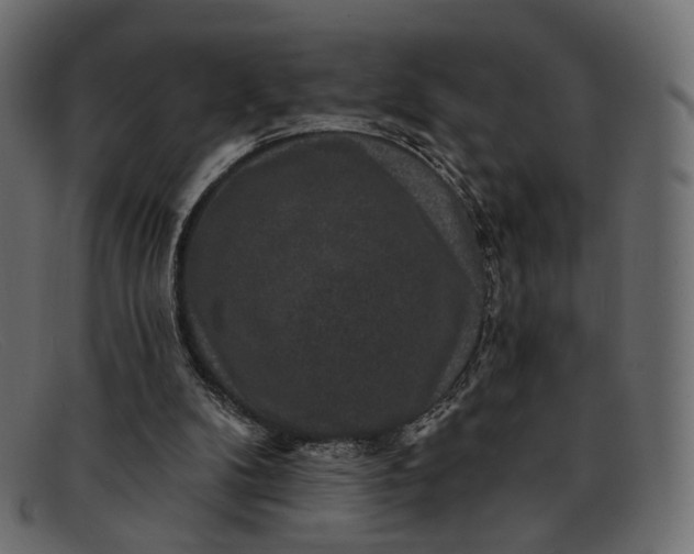 X0000091930104200709191408