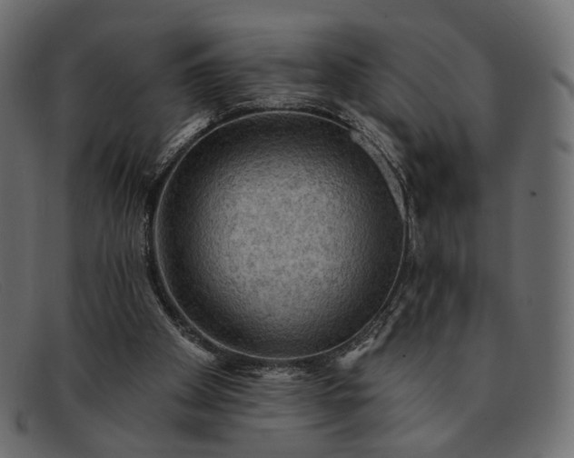 X0000091930105200709191408