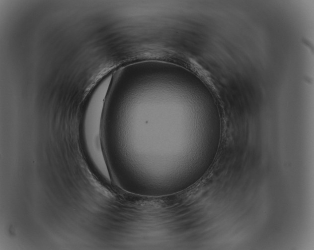 X0000091930106200709191408