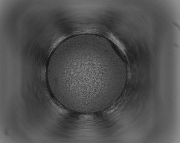 X0000091930107200709191408