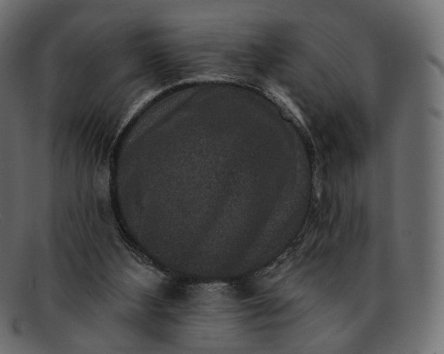 X0000091930108200709191408