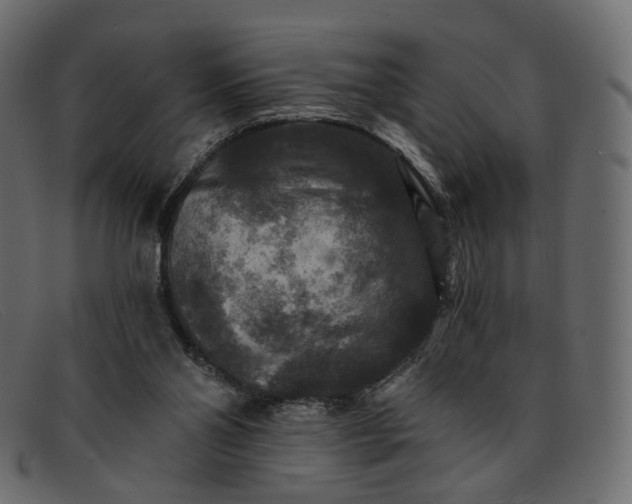 X0000091930110200709191408