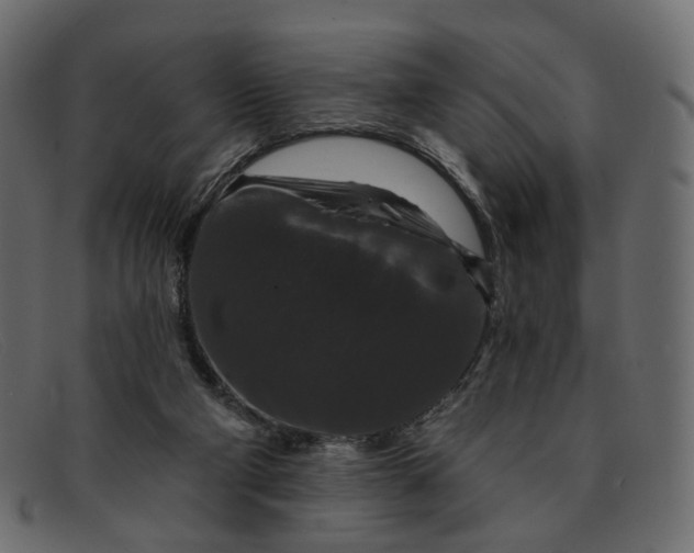 X0000091930114200709191408