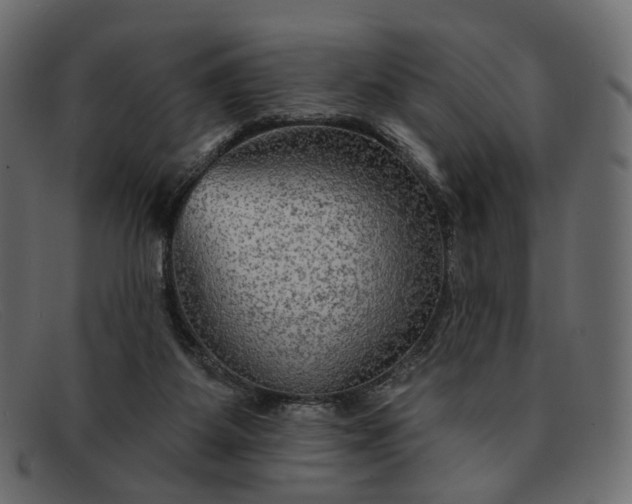 X0000091930115200709191408