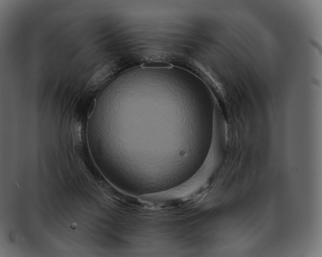 X0000091930117200709191408